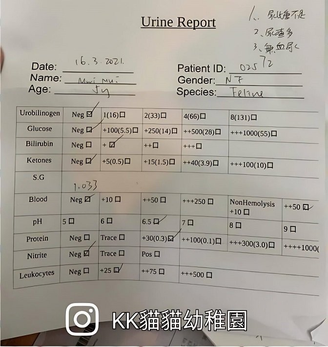 urine report